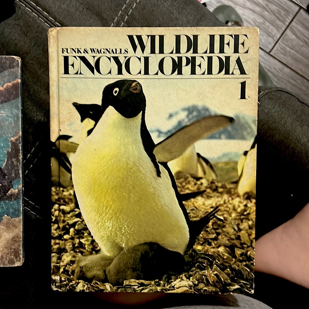 Hard cover Wildlife Encyclopedia VOL 1
By: Funk and Wagnalls Vintage 1974 print